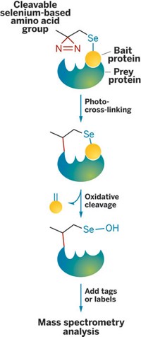 Serving the chemical, life science, and laboratory worlds