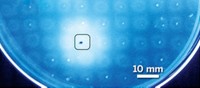 Serving the chemical, life science, and laboratory worlds
