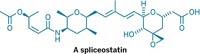 Serving the chemical, life science, and laboratory worlds