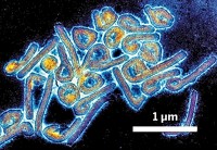 Serving the chemical, life science, and laboratory worlds