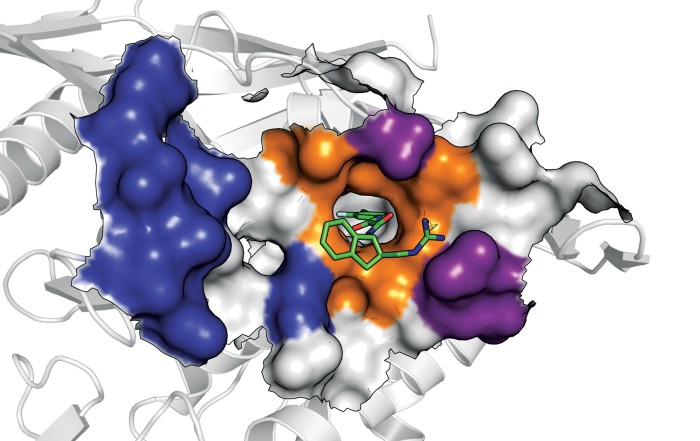 Serving the chemical, life science, and laboratory worlds