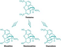 Serving the chemical, life science, and laboratory worlds