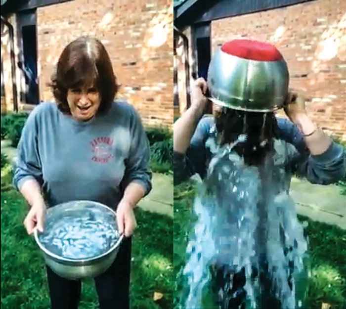 What is Ice Bucket Challenge for ALS: Impact, Purpose & Power
