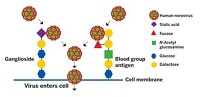 Serving the chemical, life science, and laboratory worlds