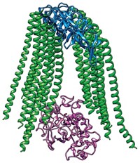 Serving the chemical, life science, and laboratory worlds