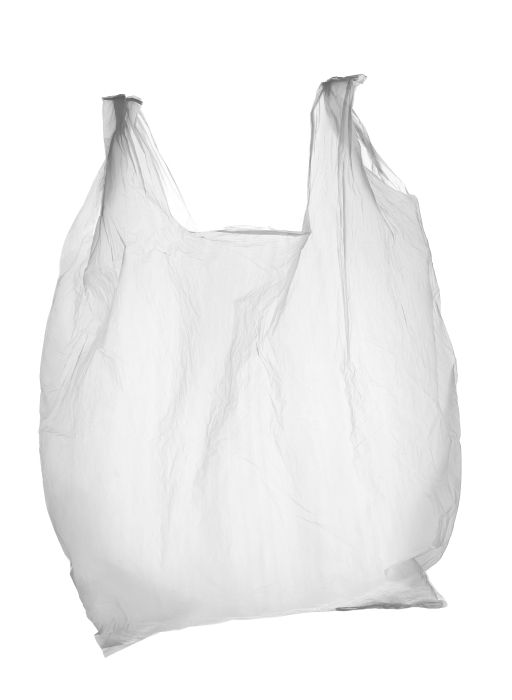 What is the Future of Trash Bags Market ?