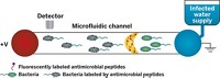 Serving the chemical, life science, and laboratory worlds