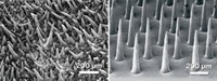 Serving the chemical, life science, and laboratory worlds