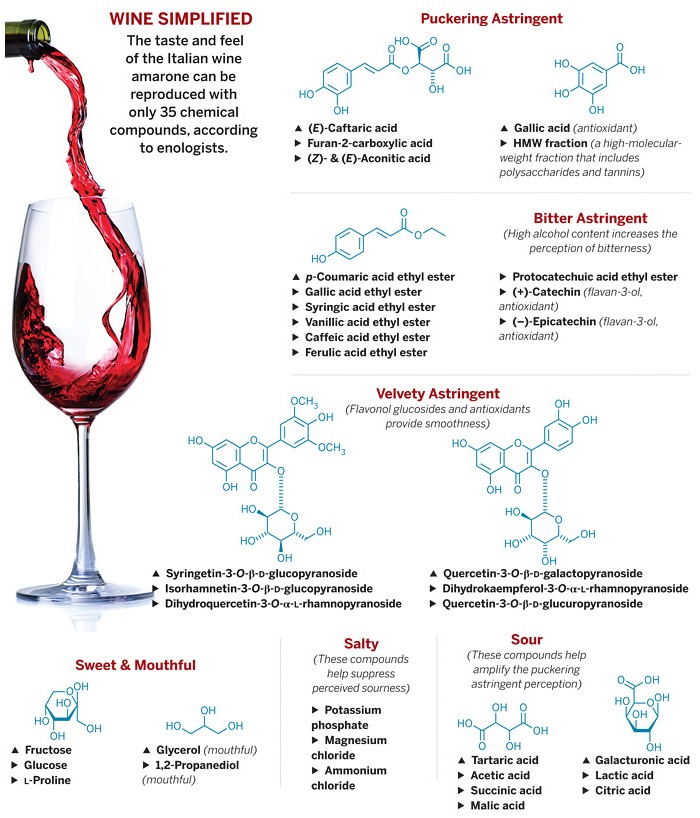 What Makes Red Wine, Red?: Exploring the key factors that make