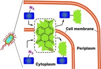 Serving the chemical, life science, and laboratory worlds