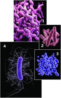 Serving the chemical, life science, and laboratory worlds