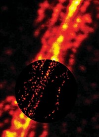 Serving the chemical, life science, and laboratory worlds
