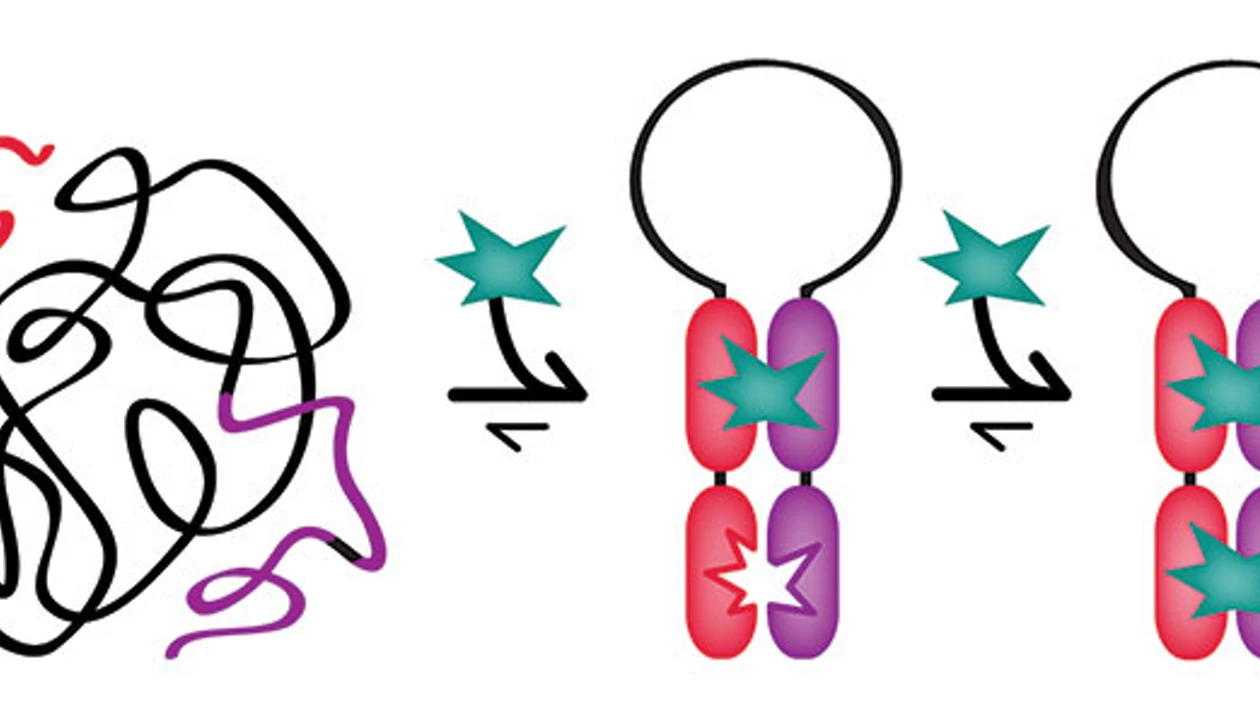 Enhancing Bioreceptor Responsiveness