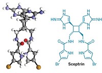 Serving the chemical, life science, and laboratory worlds