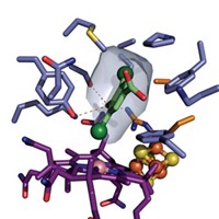 Serving the chemical, life science, and laboratory worlds