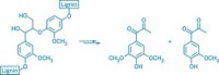 Serving the chemical, life science, and laboratory worlds