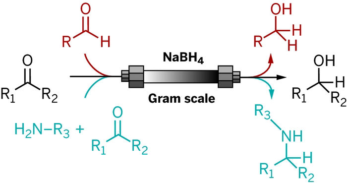 nabh4 mechanism