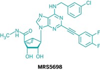 Serving the chemical, life science, and laboratory worlds