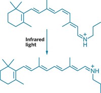 Serving the chemical, life science, and laboratory worlds