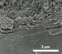 Serving the chemical, life science, and laboratory worlds