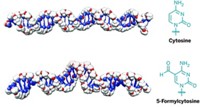 Serving the chemical, life science, and laboratory worlds