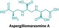 Serving the chemical, life science, and laboratory worlds