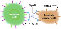 Serving the chemical, life science, and laboratory worlds