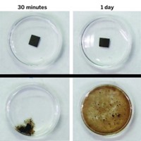 Serving the chemical, life science, and laboratory worlds