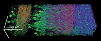 Serving the chemical, life science, and laboratory worlds
