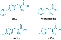 Serving the chemical, life science, and laboratory worlds