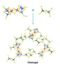 Serving the chemical, life science, and laboratory worlds