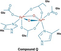 Serving the chemical, life science, and laboratory worlds