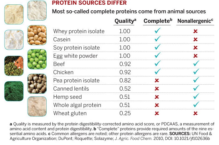 Горох содержание белков жиров углеводов. Горох белки. Горох БЖУ. Горох белок на 100 грамм. Состав гороха белки жиры.