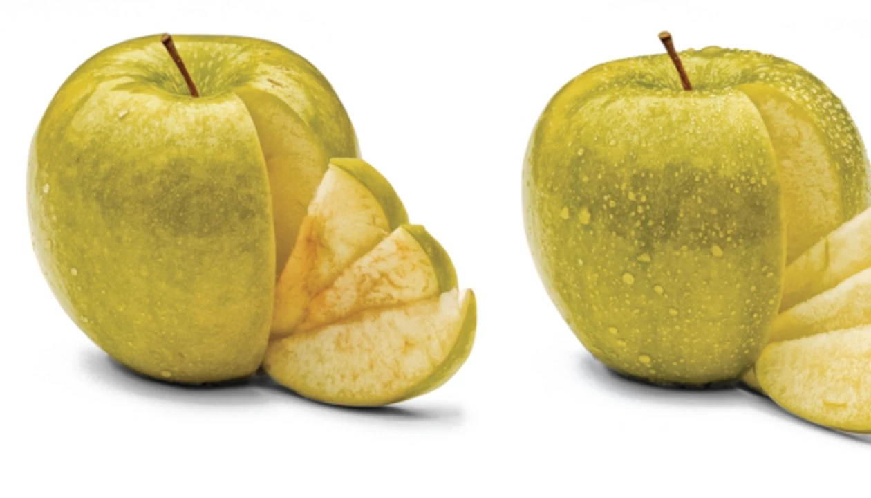Department Of Agriculture Approves First Genetically Modified Apple ...