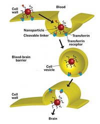 Serving the chemical, life science, and laboratory worlds