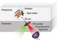 Serving the chemical, life science, and laboratory worlds