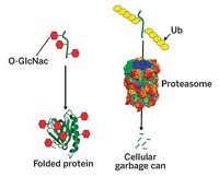 Serving the chemical, life science, and laboratory worlds