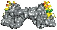 Serving the chemical, life science, and laboratory worlds
