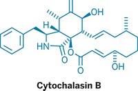 Serving the chemical, life science, and laboratory worlds