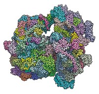 Serving the chemical, life science, and laboratory worlds