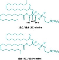 Serving the chemical, life science, and laboratory worlds