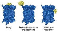 Serving the chemical, life science, and laboratory worlds