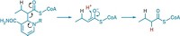 Serving the chemical, life science, and laboratory worlds