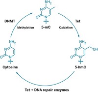 Serving the chemical, life science, and laboratory worlds