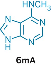 Serving the chemical, life science, and laboratory worlds