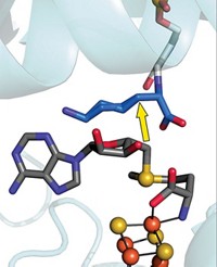 Serving the chemical, life science, and laboratory worlds