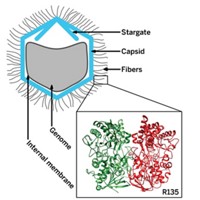 Serving the chemical, life science, and laboratory worlds