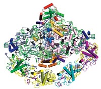Serving the chemical, life science, and laboratory worlds