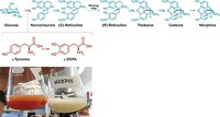 Serving the chemical, life science, and laboratory worlds