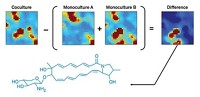 Serving the chemical, life science, and laboratory worlds